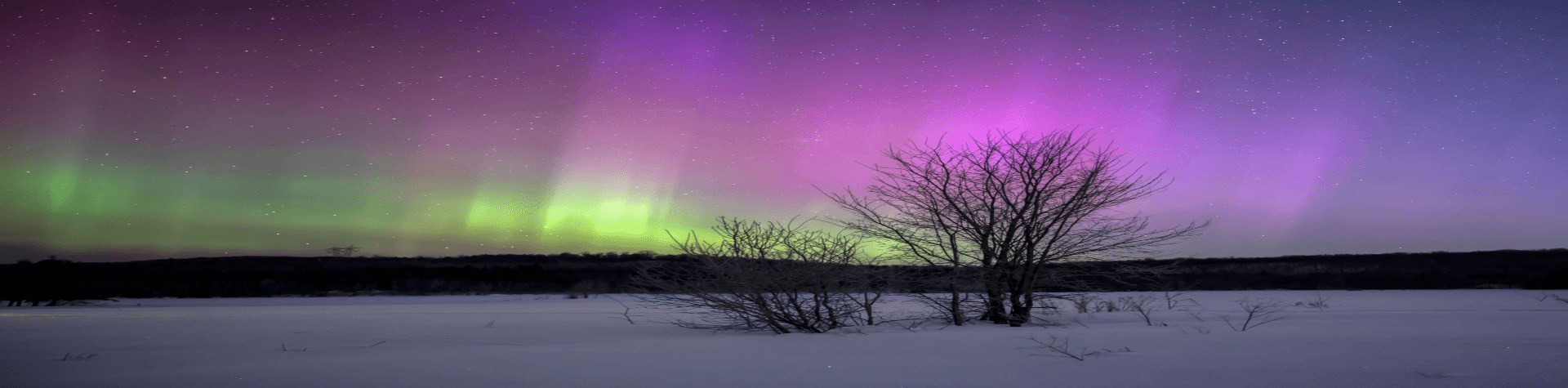 St Boniface Northern Lights