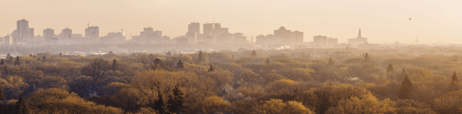 Winnipeg Skyline